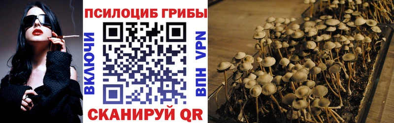 Псилоцибиновые грибы прущие грибы  Буй 